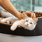 CozyCloud Dot Sponge Pet Bed Cushion For Cats And Small Dogs 8