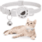 SafeTrack Reflective AirTag Pet Collar With Breakaway Safety Buckle 0