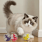 SmartTreat Interactive Cat Food Puzzle Ball For Slow Feeding Enrichment 3