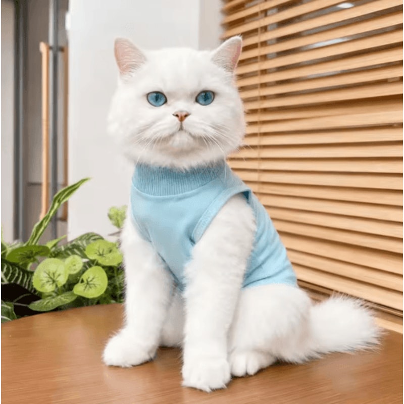 ComfortCare Cat Recovery Suit For PostSurgery Protection 11