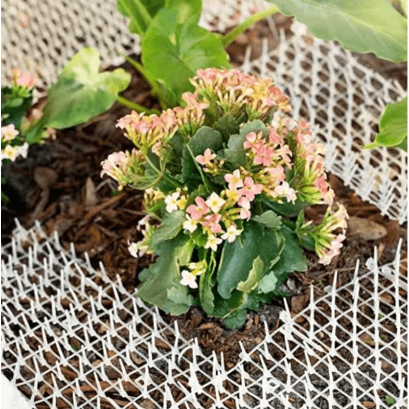 GardenShield AntiDig Cat Scat Mat With Protective Spikes 5
