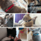 SafePurr Breakaway Cat Collar With Bell For Kittens Cats 9