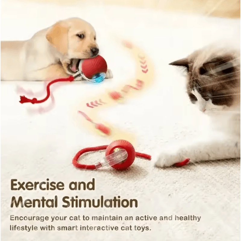 SmartMouse Automatic Rolling Cat Ball With Tail Teaser 6