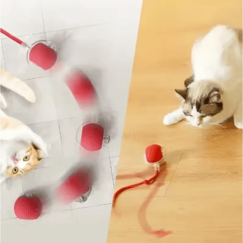 SmartMouse Automatic Rolling Cat Ball With Tail Teaser 7