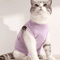 Comfort Care Soft Cat Recovery Suit For Post Surgery Healing 7