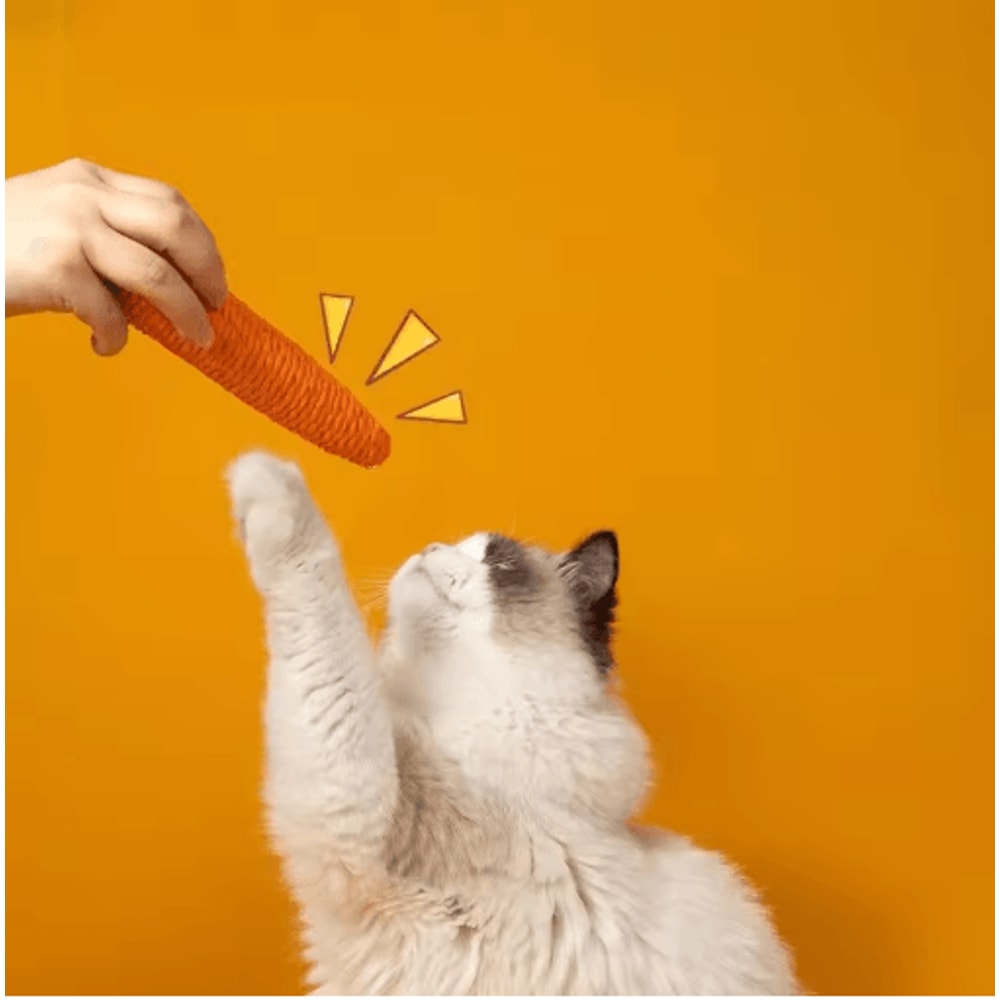Crunchy Carrot Interactive Cat Teething Toy With Sound Scratch Fun 4