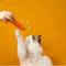 Crunchy Carrot Interactive Cat Teething Toy With Sound Scratch Fun 4