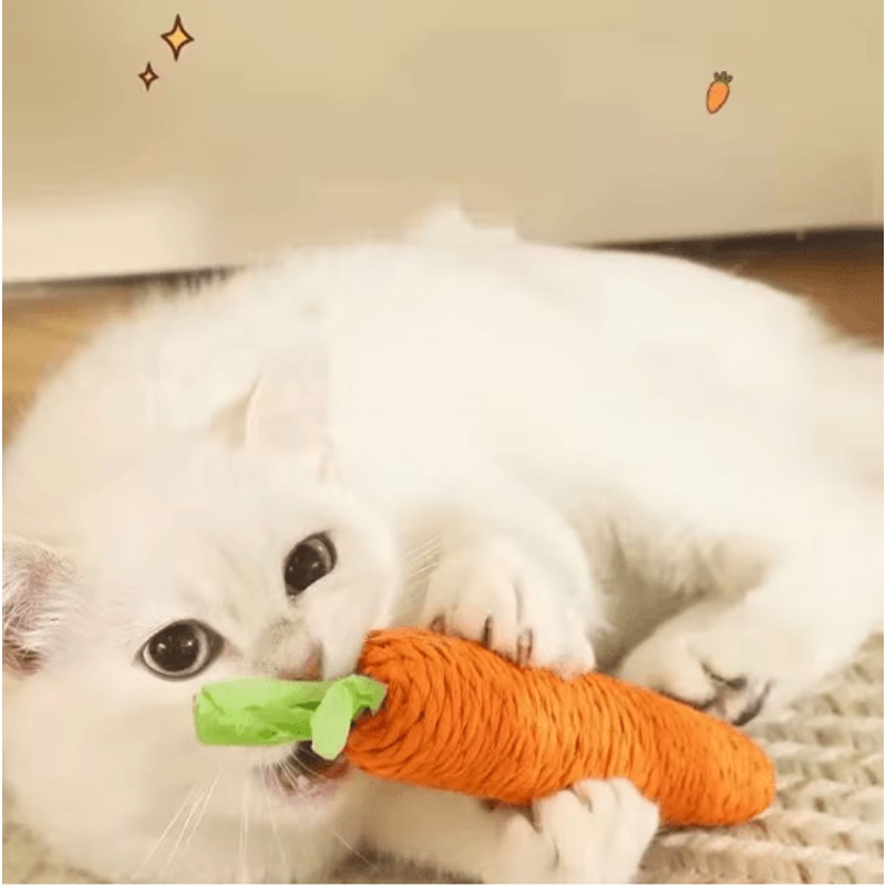 Crunchy Carrot Interactive Cat Teething Toy With Sound Scratch Fun 6