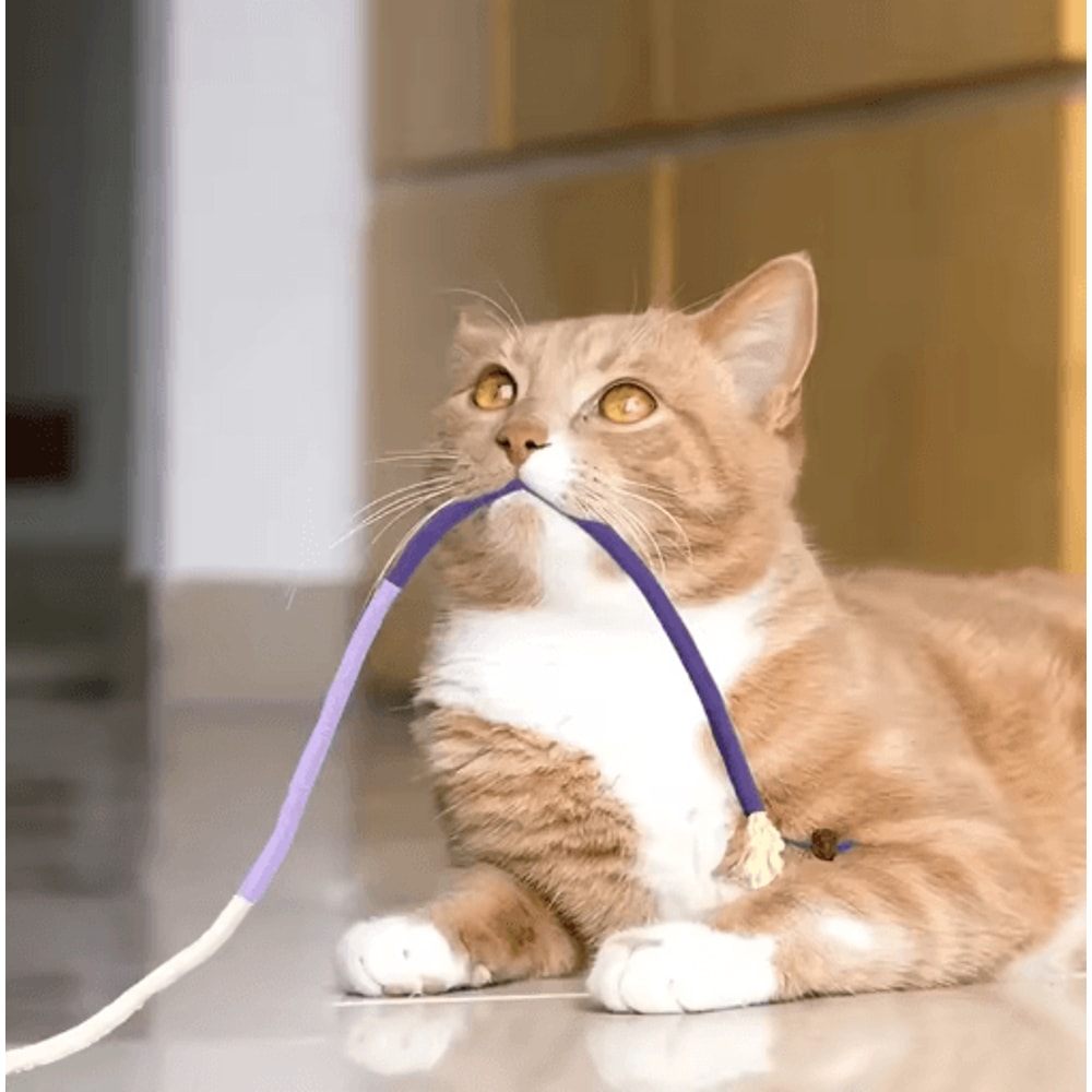 SilverChew Interactive Silvervine Cat Teaser Rope Toy For Dental Care Play 0