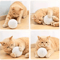 Interactive Silent Wool Ball Cat Toy With Teaser Stick For Boredom Relie 2
