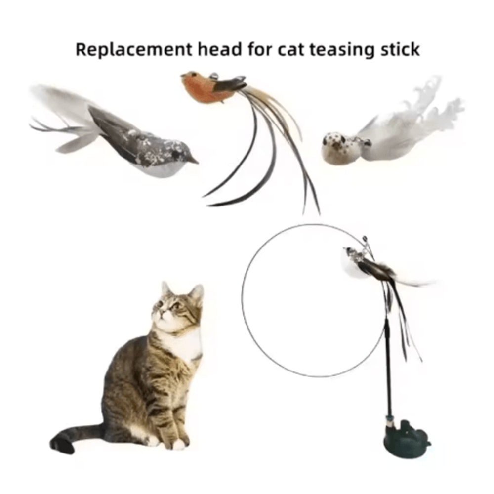 Suction Cup Feather Cat Teaser Wand With Simulation Bird Toy 6