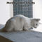 Transparent Cat Safety Net For Balconies Stairs And Windows 8