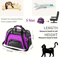 Portable Mesh Pet Carrier Bag For Cats And Small Dogs 7