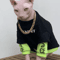 Warm Cotton Sweatshirt For Sphynx Cats And Devon Rex Cats 1
