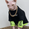 Warm Cotton Sweatshirt For Sphynx Cats And Devon Rex Cats 0
