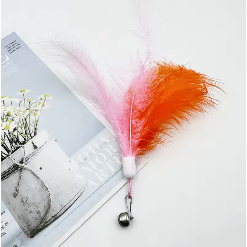 Feather Bell Replacement Heads For Cat Teaser Wands 3 To 10 Pack 5