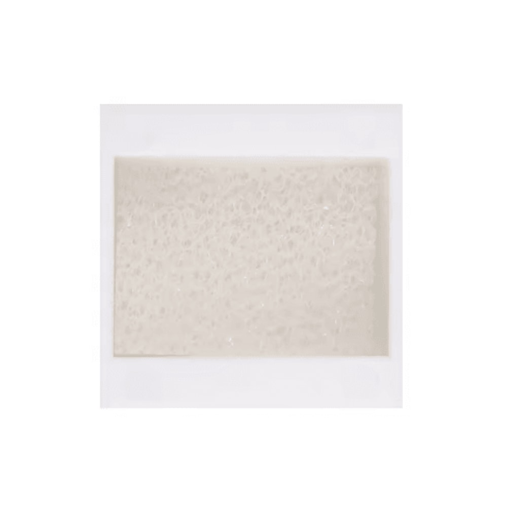 Pet Water Dispenser Replacement Filters 10 Pack For Cleaner Drinking Water 2