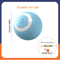 Smart Rolling Catnip Chase Ball USB Rechargeable Interactive Cat Toy 9