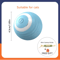 Smart Rolling Catnip Chase Ball USB Rechargeable Interactive Cat Toy 9