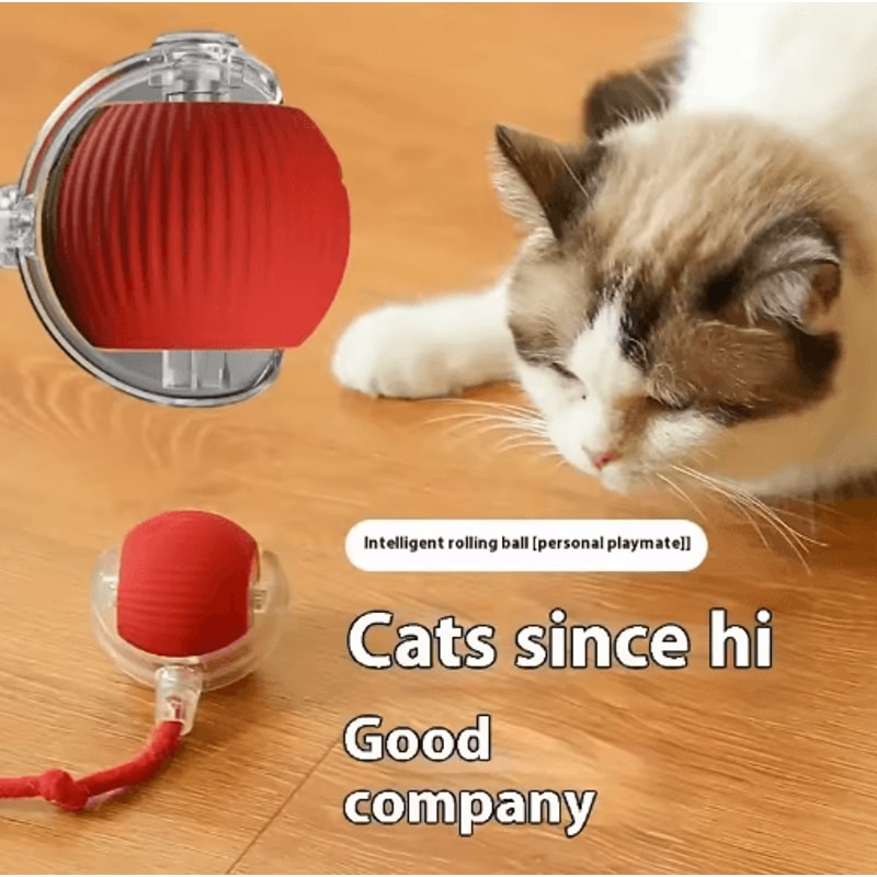 Smart Rolling Catnip Chase Ball USB Rechargeable Interactive Cat Toy 16