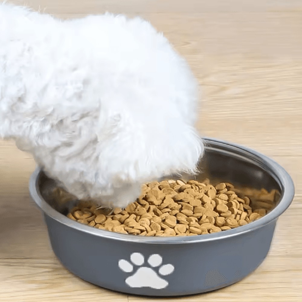 Stainless Steel Pet Feeding Bowl NonSlip Food Water Dish For Cats And Dogs 6