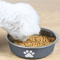 Stainless Steel Pet Feeding Bowl NonSlip Food Water Dish For Cats And Dogs 6
