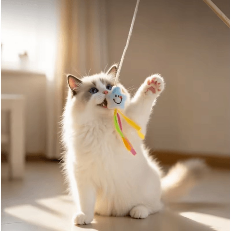 Wooden Cat Teaser Wand With Bell Interactive BiteResistant Toy For Active Cats 2