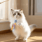 Wooden Cat Teaser Wand With Bell Interactive BiteResistant Toy For Active Cats 5