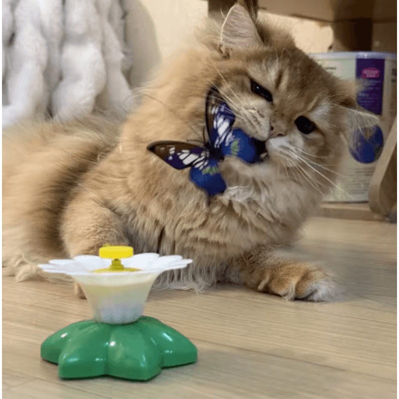 Automatic Rotating Butterfly Cat Toy Interactive Electric Pet Training Toy For Cats And Dogs 5