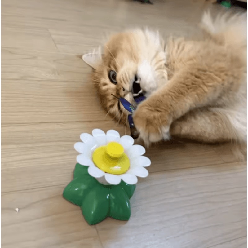 Automatic Rotating Butterfly Cat Toy Interactive Electric Pet Training Toy For Cats And Dogs 6