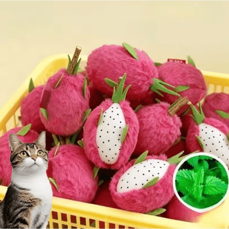Dragon Fruit Catnip Plush Chew Toy BiteResistant Teeth Cleaning Toy For Cats 0