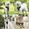 EscapeProof Reflective Cat Harness Leash Set Adjustable Safety Vest For Cats And Small Dogs 6