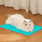 Self Cleaning Cat Grooming Massage Comb Hair Removal Brush Scratch Massager For Cats 4