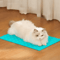 Self Cleaning Cat Grooming Massage Comb Hair Removal Brush Scratch Massager For Cats 4