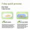 Hydroponic Cat Grass Growing Kit Soilless Cat Treat Planter For Fresh Indoor Cat Grass 4