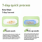 Hydroponic Cat Grass Growing Kit Soilless Cat Treat Planter For Fresh Indoor Cat Grass 4