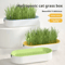 Hydroponic Cat Grass Growing Kit Soilless Cat Treat Planter For Fresh Indoor Cat Grass 6