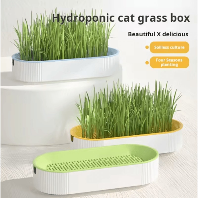 Hydroponic Cat Grass Growing Kit Soilless Cat Treat Planter For Fresh Indoor Cat Grass 6