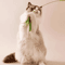 Interactive Feather Tail Cat Wand Toy Long Pole Teaser Stick For Active Cats And Kittens 3
