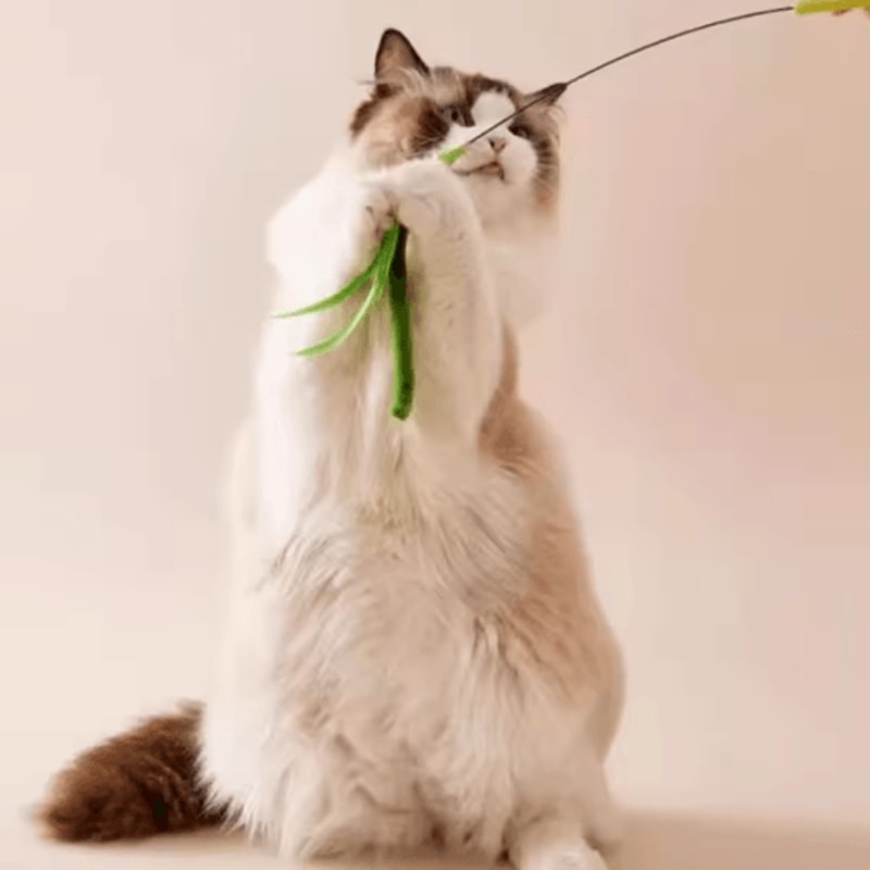 Interactive Feather Tail Cat Wand Toy Long Pole Teaser Stick For Active Cats And Kittens 3