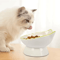 Elevated Cat Food Water Bowl Raised Feeding Dish For Comfortable Mealtime 6
