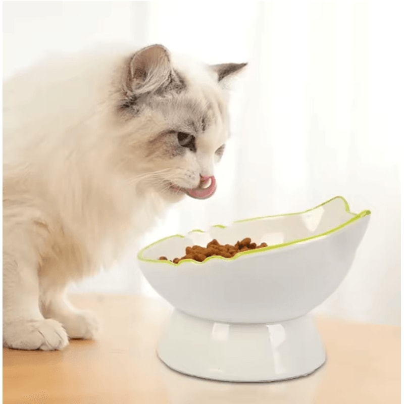 Elevated Cat Food Water Bowl Raised Feeding Dish For Comfortable Mealtime 6
