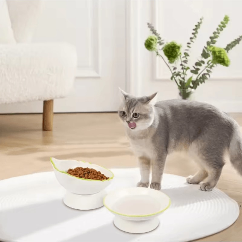 Elevated Cat Food Water Bowl Raised Feeding Dish For Comfortable Mealtime 7