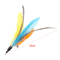 5PCS Feather Cat Wand Refill Set Colorful Interactive Replacement Teaser Toys For Cats 3