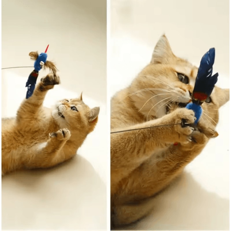 Feather Bird Cat Teaser Refill Interactive Suction Cup Wand Replacement Toy For Cats 9