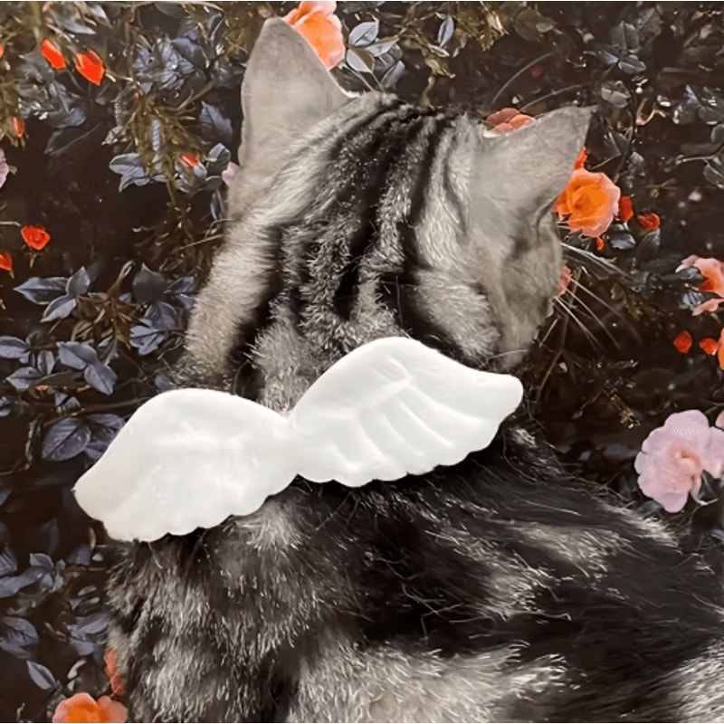 AngelPaws Pet Costume Collar Set Wings Bow Tie Holiday DressUp Accessory For Dogs Cats 4