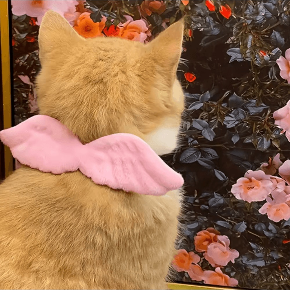 AngelPaws Pet Costume Collar Set Wings Bow Tie Holiday DressUp Accessory For Dogs Cats 5