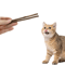 NatureChew Matatabi Sticks For Cats Natural Dental Chew Toy For Teeth Cleaning Stress Relief 2