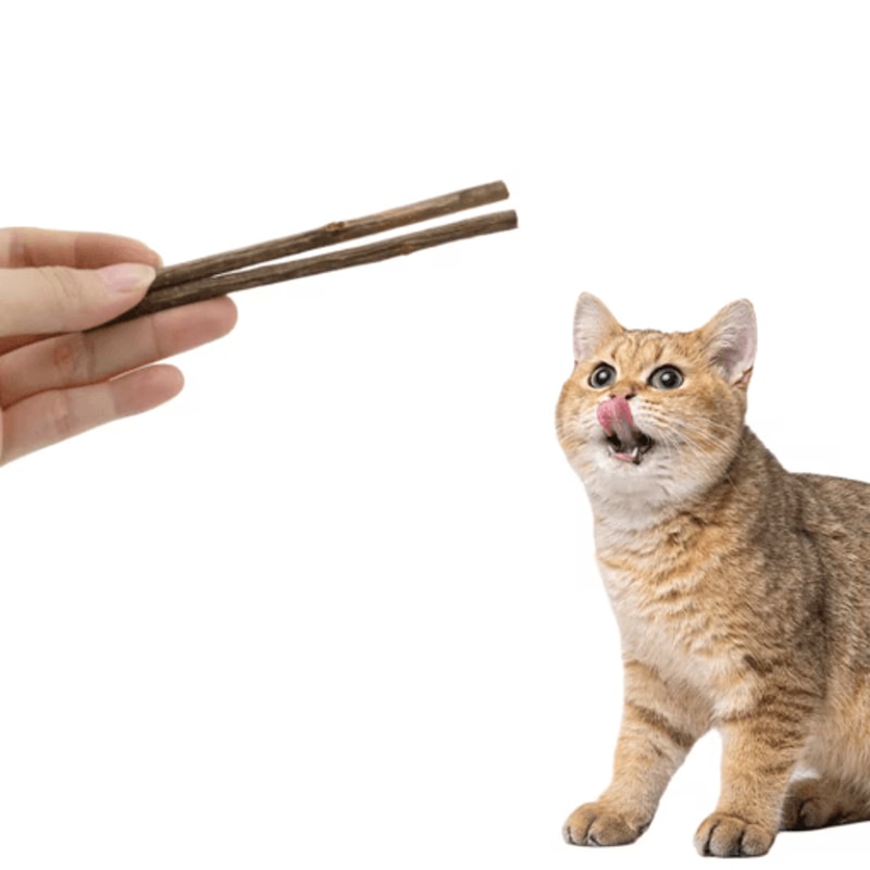NatureChew Matatabi Sticks For Cats Natural Dental Chew Toy For Teeth Cleaning Stress Relief 2