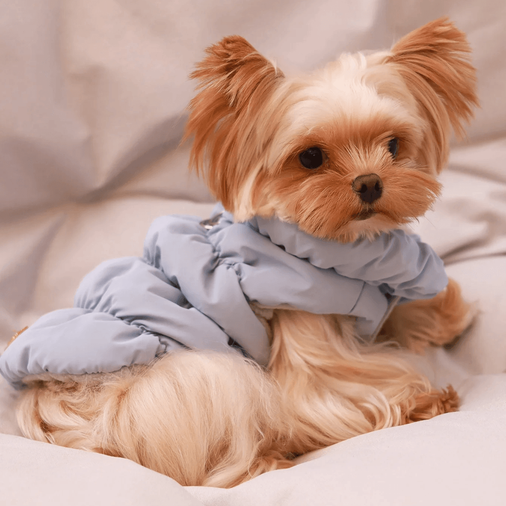 Warm Dog Winter Jacket With 3 Layer Insulation For Small To Medium Dogs 0